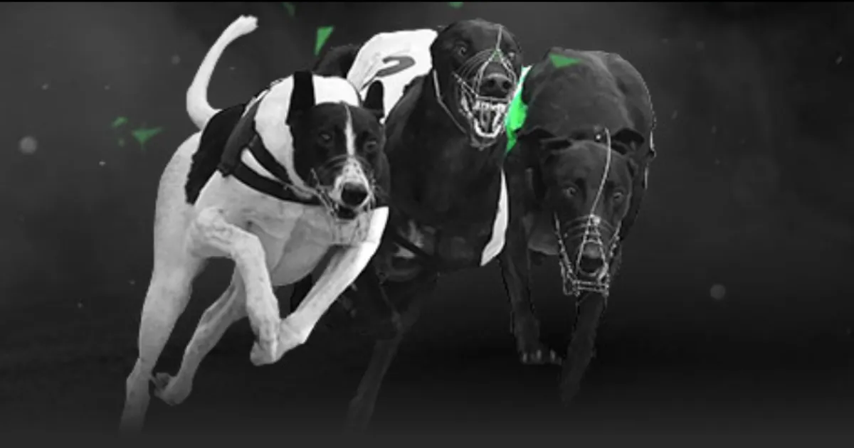 激战,分钟,皇马点球战,江南,JiangNan,江南注册网址,江南app,江南官网,江南网站,江南下载